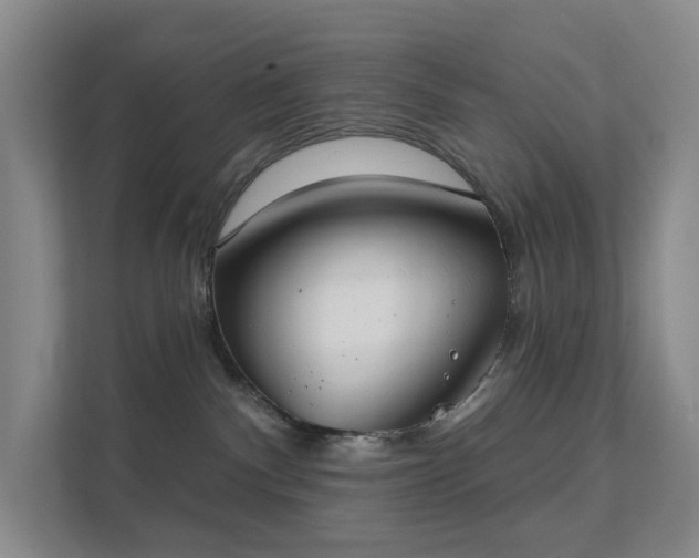 X0000112020140200908101410