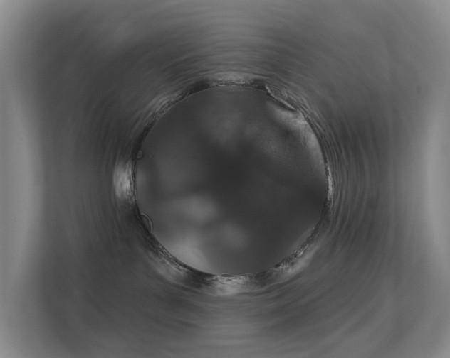 X0000112020143200908101410