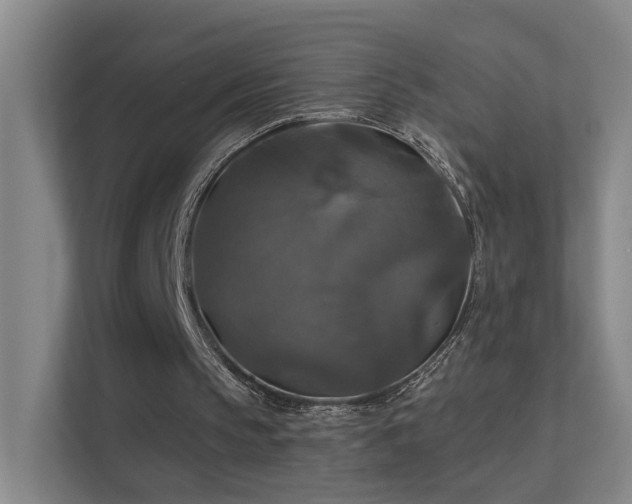 X0000112020145200908101409