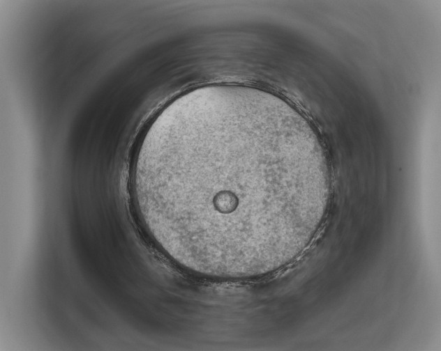 X0000112020146200908101409