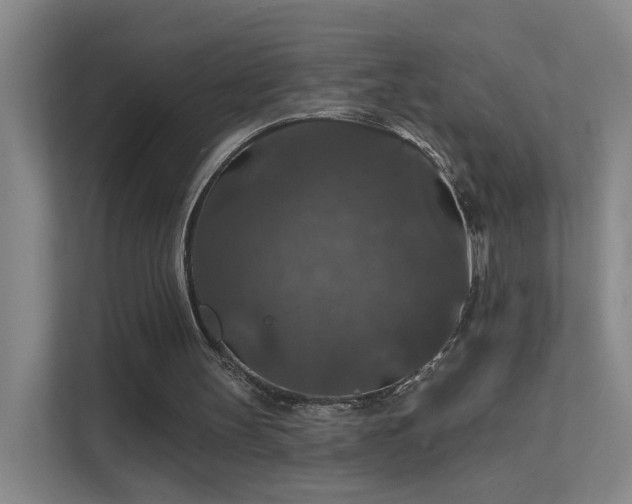 X0000112020147200908101409