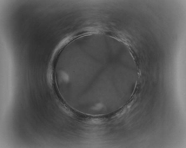 X0000112020149200908101409