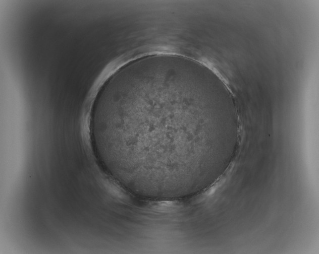 X0000112020151200908101409