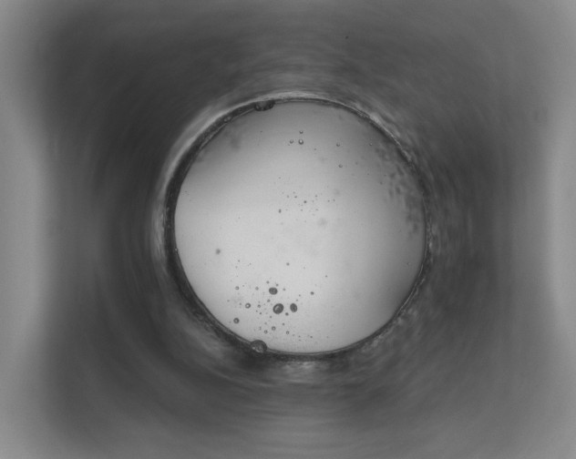 X0000112020152200908101409