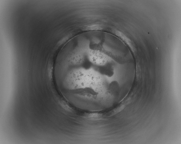 X0000112020153200908101409