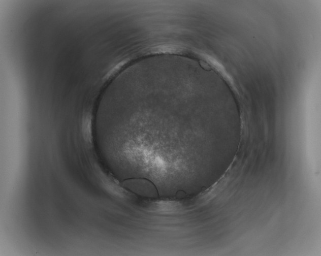 X0000112020154200908101409