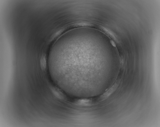 X0000112020158200908101409