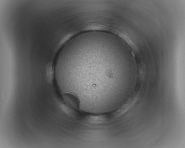 X0000112020160200908101409