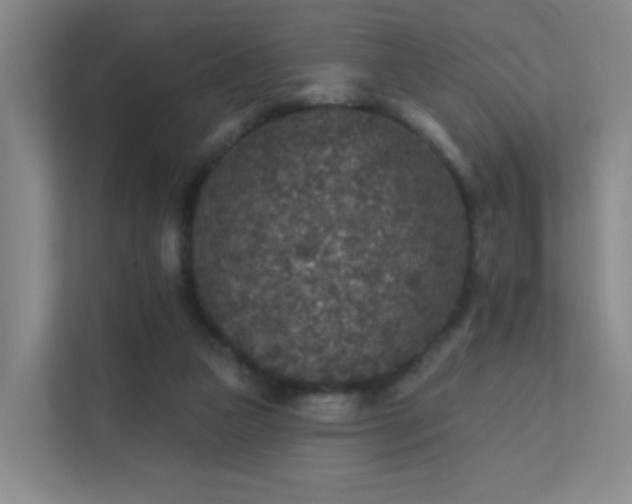 X0000112020161200908101409