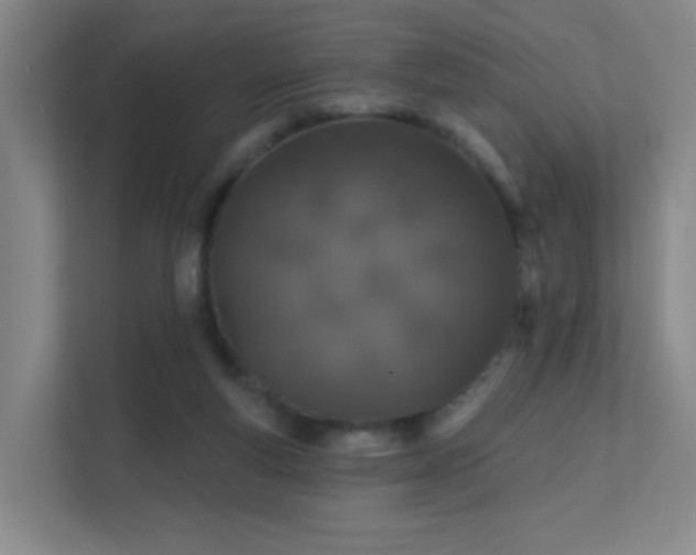 X0000112020163200908101409