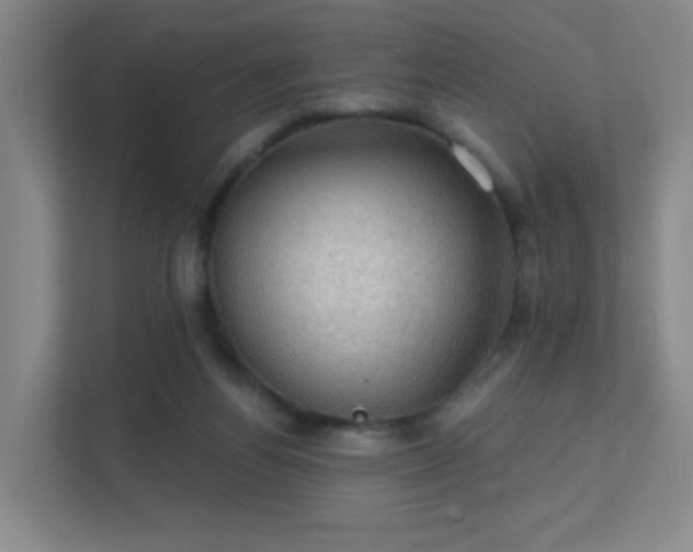 X0000112020164200908101409