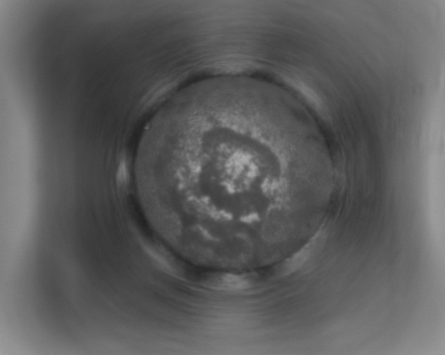 X0000112020166200908101409