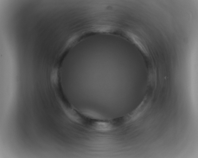 X0000112020167200908101409