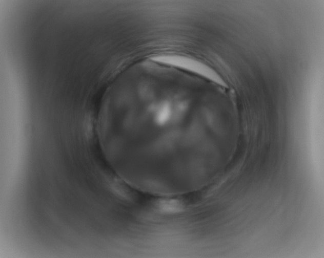 X0000112020169200908101409