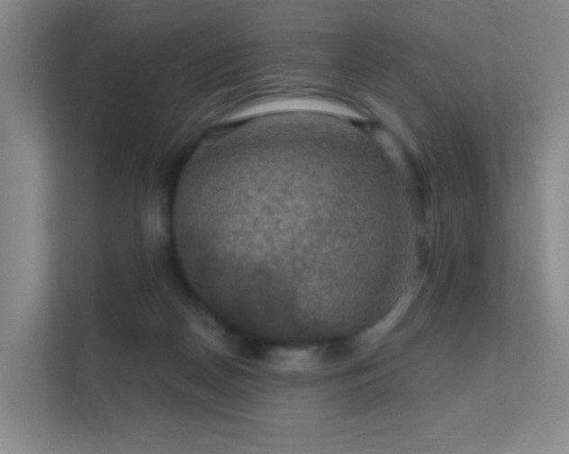 X0000112020170200908101409