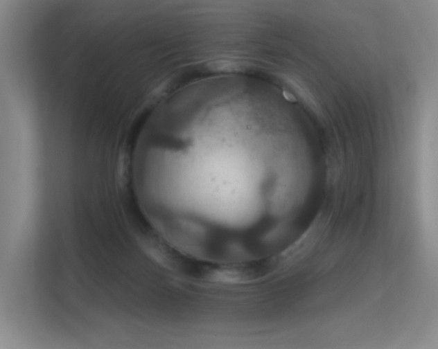 X0000112020171200908101410