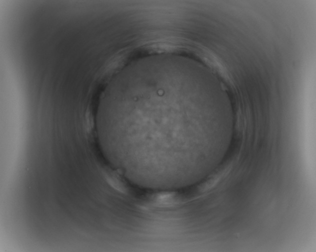 X0000112020173200908101410