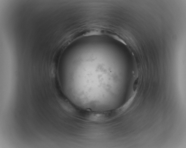 X0000112020174200908101410