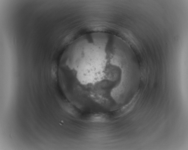 X0000112020175200908101410