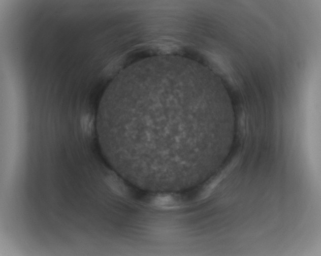 X0000112020177200908101410