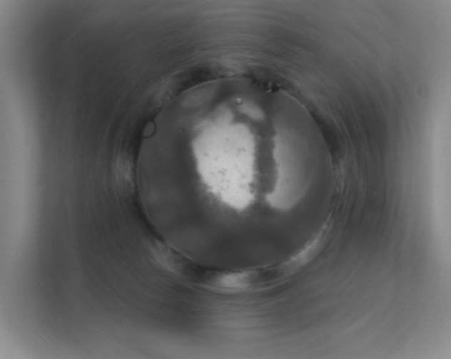 X0000112020178200908101410