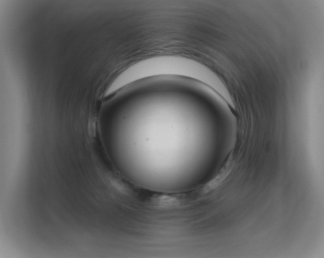 X0000112020180200908101410