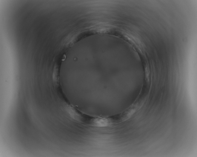 X0000112020181200908101410