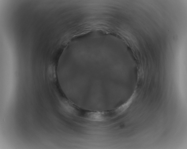 X0000112020182200908101410