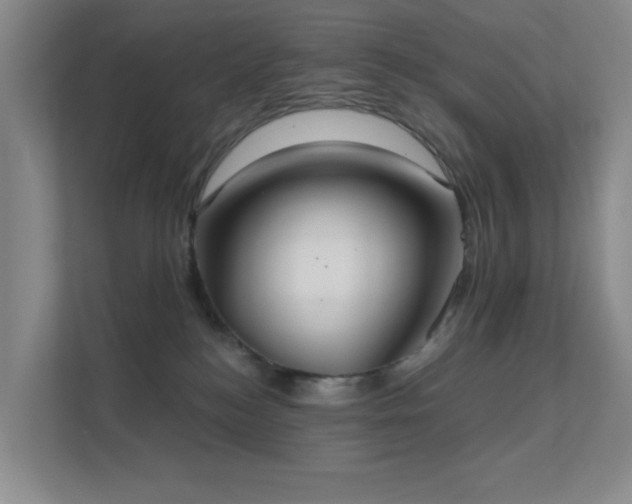 X0000112020184200908101410