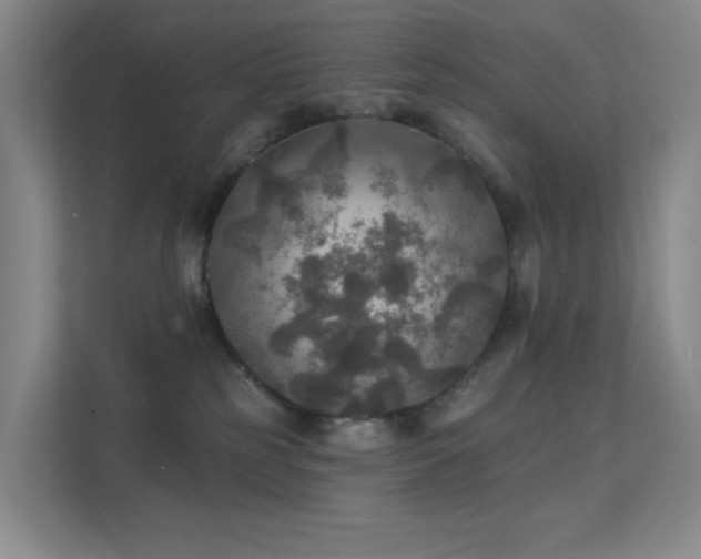 X0000112020185200908101410