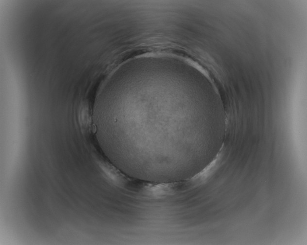 X0000112020186200908101410