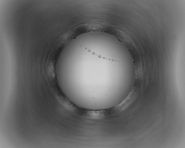 X0000112020187200908101410