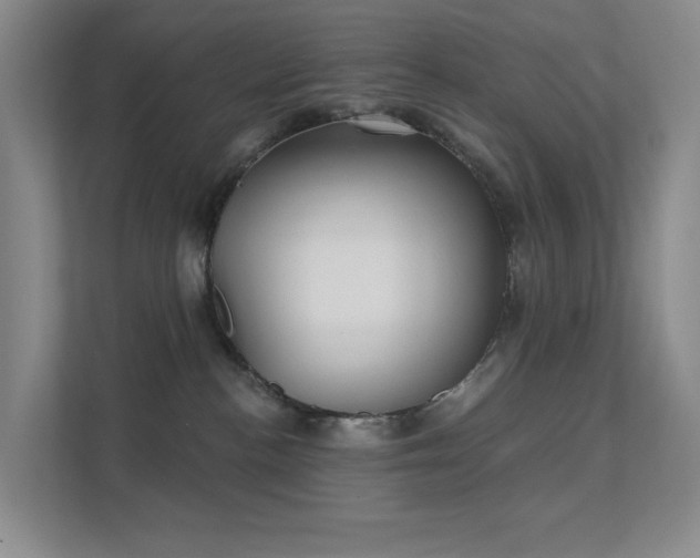 X0000112020188200908101410