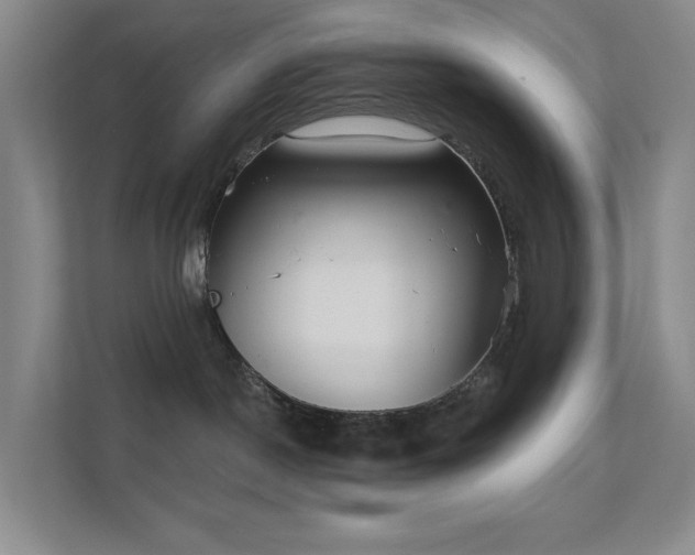 X0000112020190200908101410