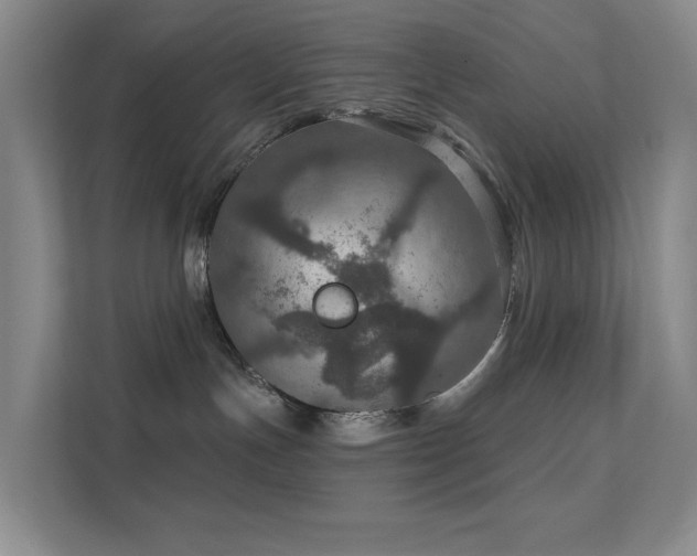 X0000112020191200908101410