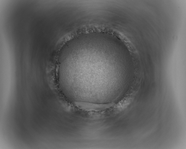 X0000112020192200908101410