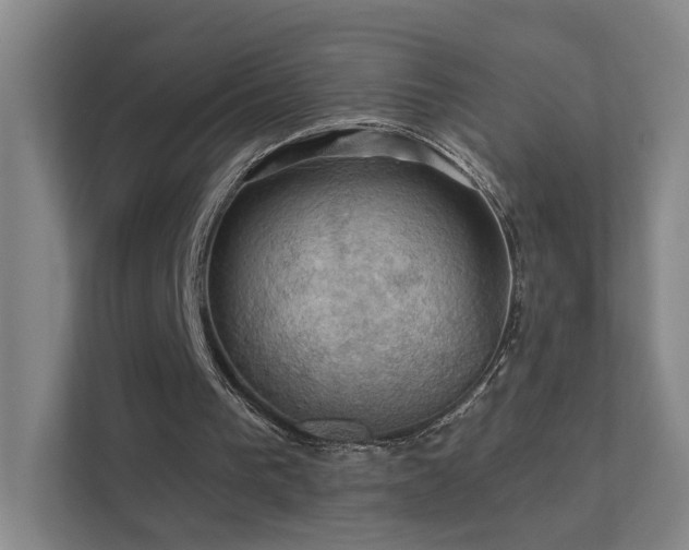 X0000112020193200908101409