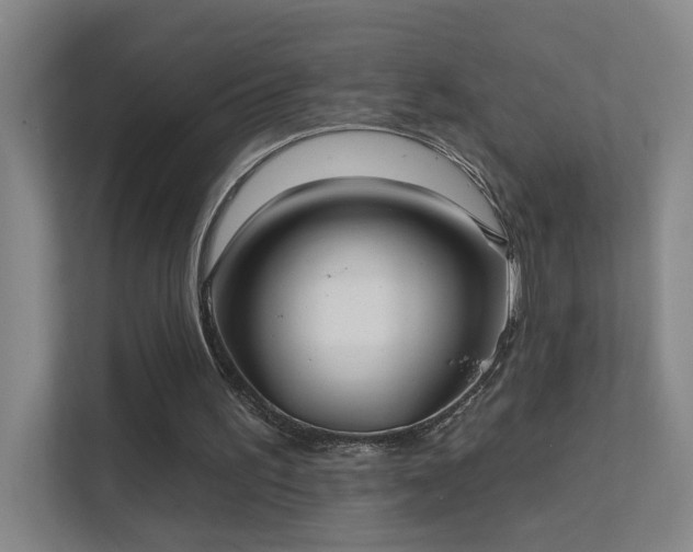 X0000112020195200908101409