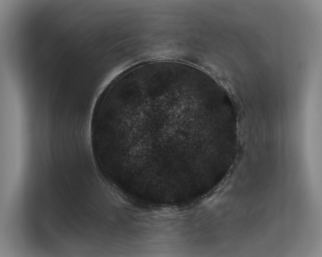 X0000112020196200908101409