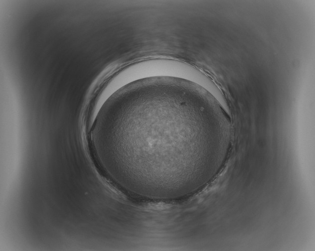 X0000112020197200908101409