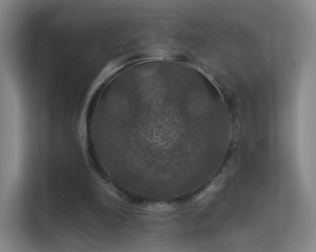 X0000112020198200908101409