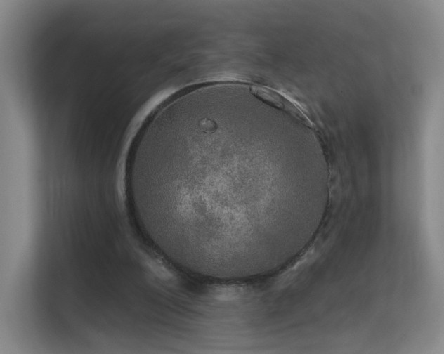 X0000112020200200908101409