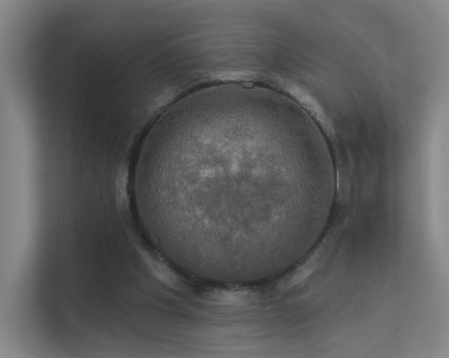 X0000112020201200908101409