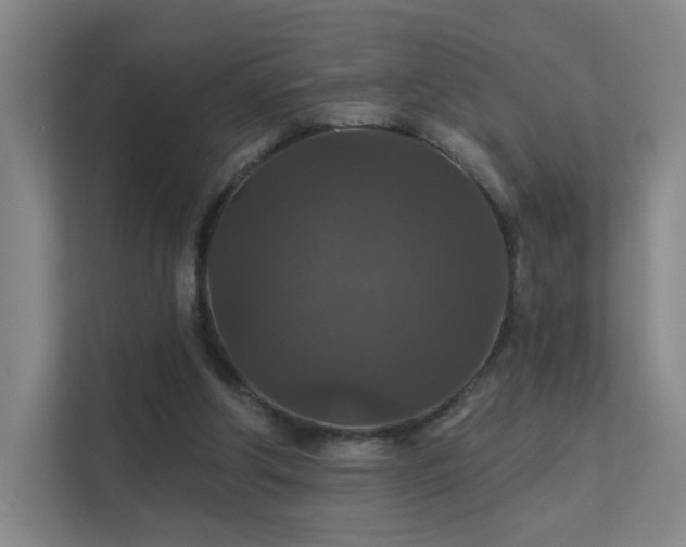 X0000112020202200908101409