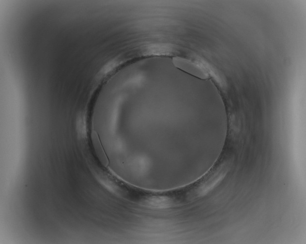 X0000112020203200908101409