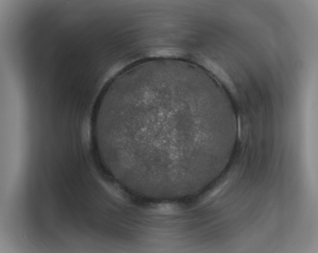 X0000112020204200908101409