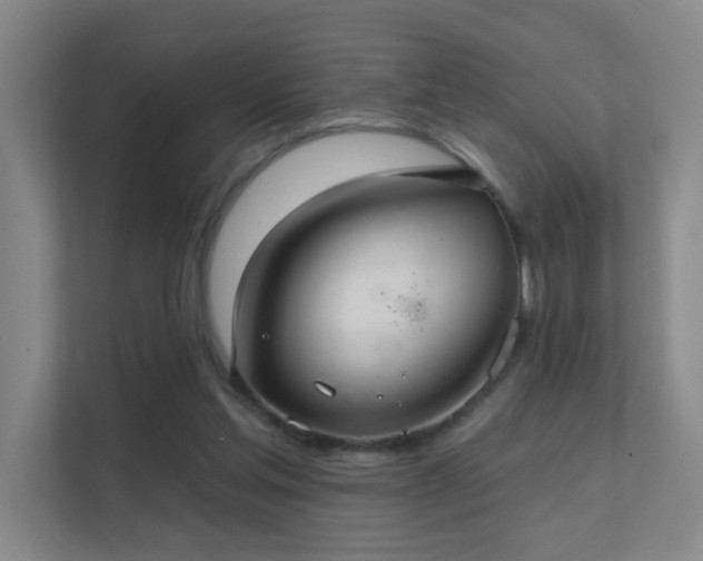 X0000112020205200908101409