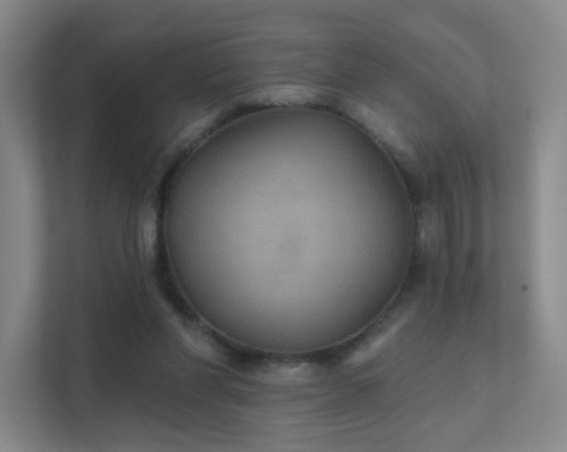 X0000112020206200908101409