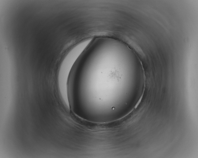 X0000112020207200908101409