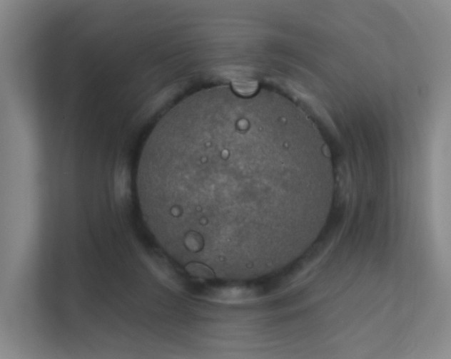 X0000112020212200908101409